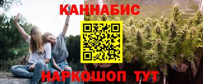 прущие грибы Волжск