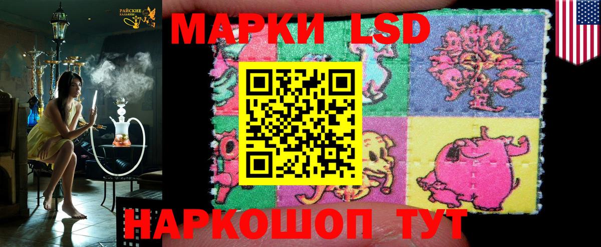 Сокол  Марки NBOMe 1,5мг  Вход с VPN 