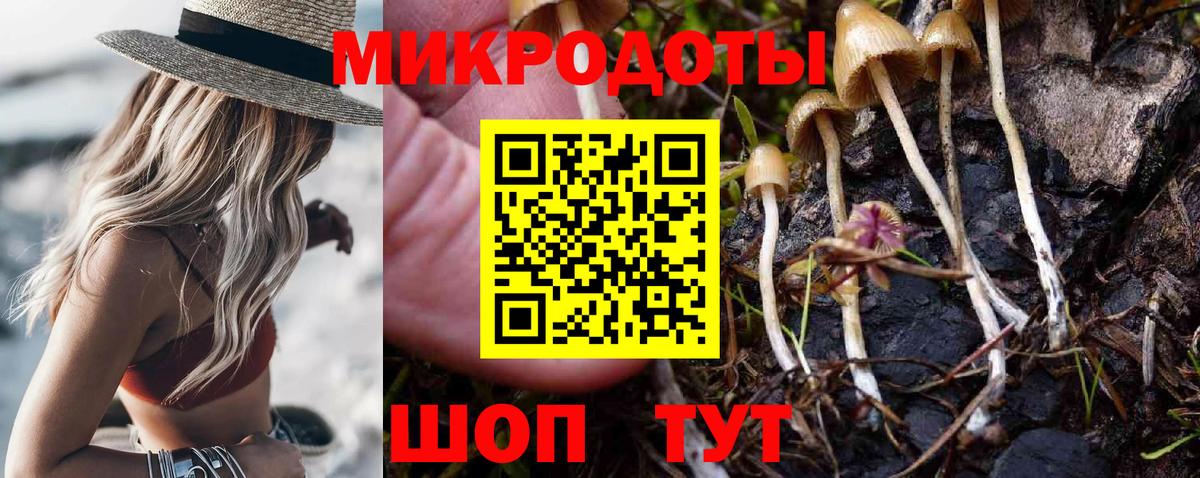 Сокол  Псилоцибиновые грибы GOLDEN TEACHER  закладка  Галлюциногенные грибы ЛСД  Вход с VPN 
